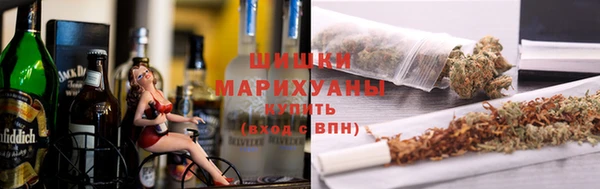 PSILOCYBIN Алзамай