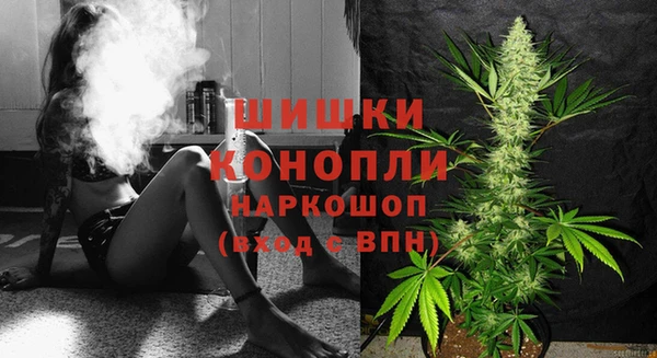 спайс Алексин