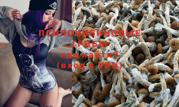 PSILOCYBIN Алзамай