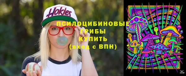 spice Алексеевка
