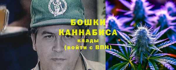 ГАЛЛЮЦИНОГЕННЫЕ ГРИБЫ Абдулино